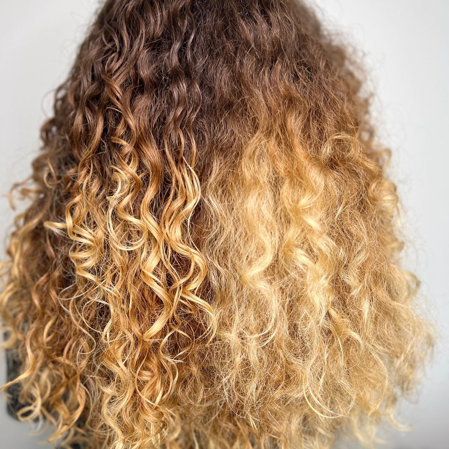 The Biggest Hair 3in1 - Lableless Discounted - 250ml